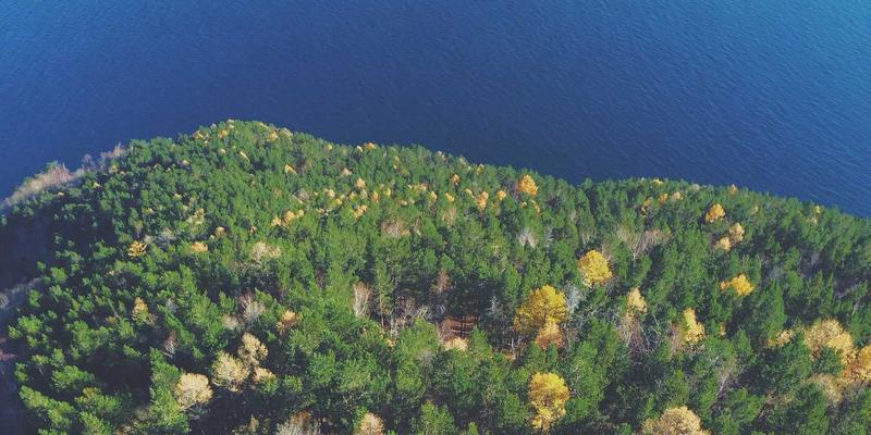 Java数据库连接池性能对决：HikariCP与Druid调优实战指南