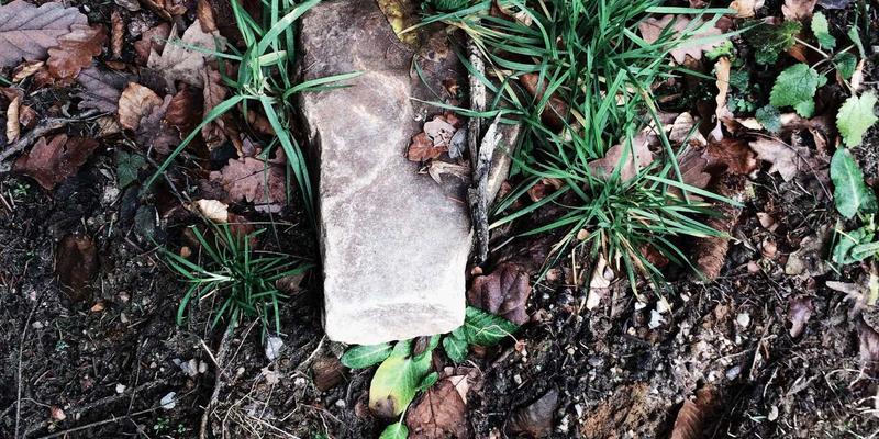 Java服务网格实战：Istio与Spring Cloud Kubernetes集成架构与性能优化指南