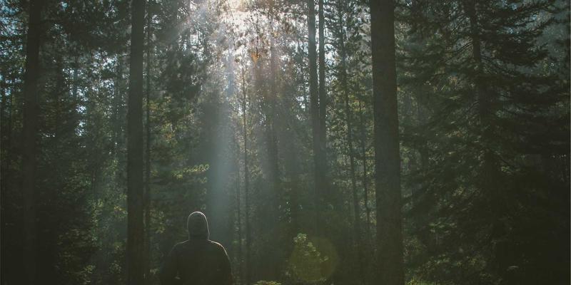 Java虚拟线程实战:用Project Loom重构并发模型,轻松提升Spring应用吞吐量300%