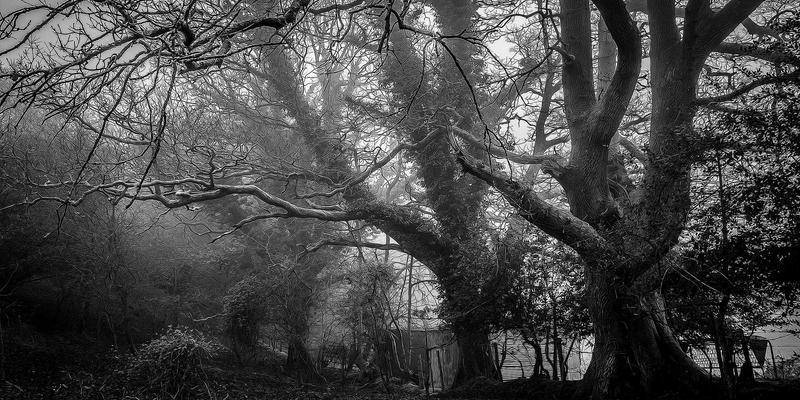 Spring Boot企业级微服务架构:从设计到性能优化的实战指南